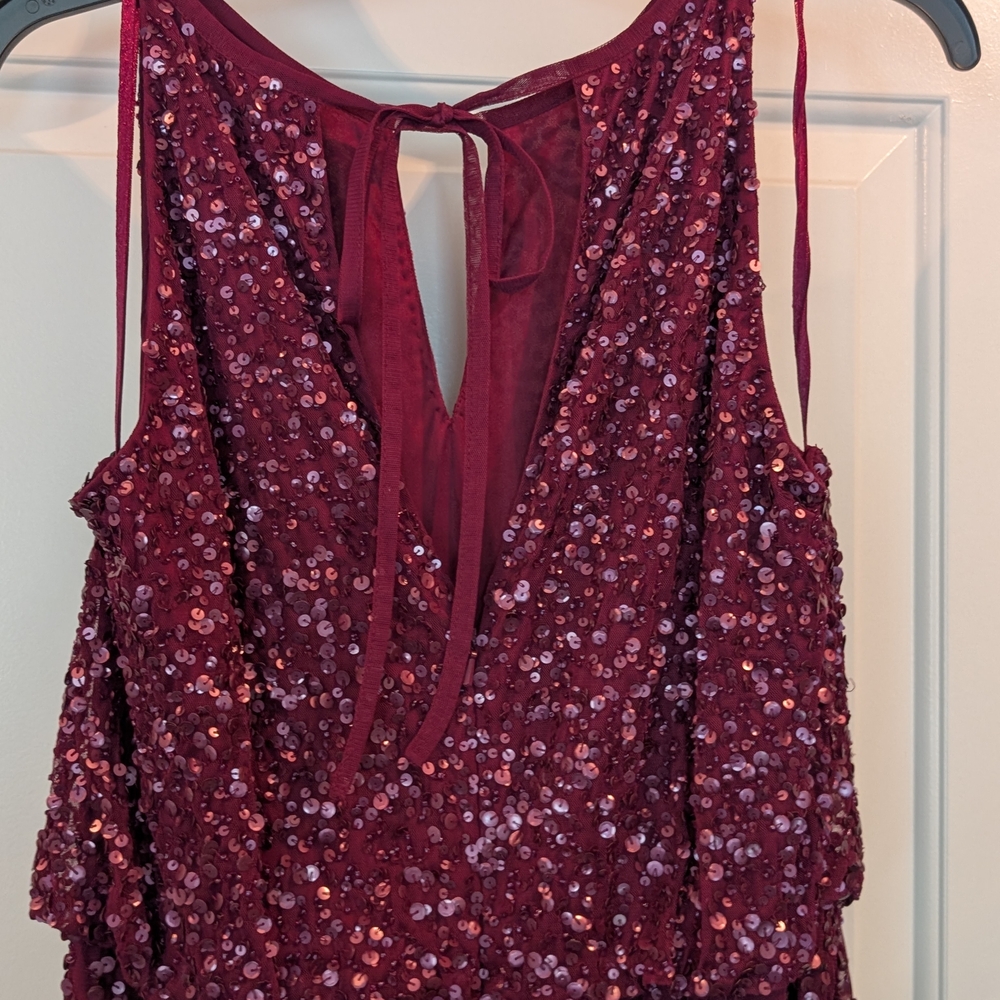 Adrianna Papell Wine Sequin Maxi Dress - Picture 2 of 9